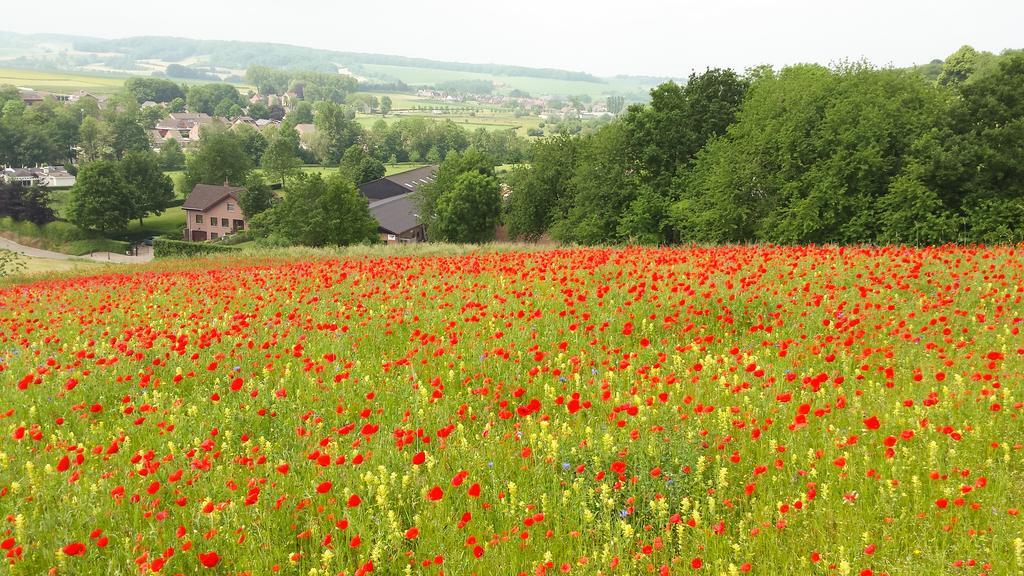 Belle - Mooi Zuid Limburg Villa Simpelveld Kültér fotó